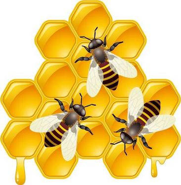三蜜蜂 闪光图片